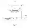 Fig. 02 - Method and device for protecting privacy information
