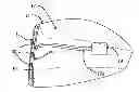 Fig. 01 - Golf Swing Measurement and Analysis System