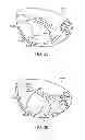 Fig. 14 - GOLF CLUB HEAD WITH MULTI-MATERIAL FACE
