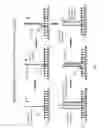 Fig. 02 - NUCLEIC ACID AMPLIFICATION