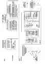 Fig. 09 - High resolution analysis of mammalian transcriptome using gene pool specific primers