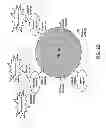 Fig. 05 - DECTECTION OF GASTROINTESTINAL DISORDERS