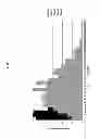 Fig. 20 - DECTECTION OF GASTROINTESTINAL DISORDERS