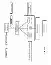 Fig. 28 - DECTECTION OF GASTROINTESTINAL DISORDERS