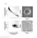 Fig. 07 - Mid-infrared imaging of microarrays