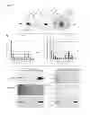 Fig. 09 - COMPOSITIONS AND METHODS FOR ANALYSIS OF H3K4 METHYLATED CHROMATIN