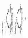 Fig. 07 - Characterizing Gastro-Intestinal Disease
