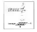 Fig. 01 - Multi-nucleic-acid amplification reaction tool