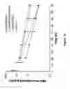 Fig. 43 - HSA-related compositions and methods of use