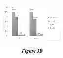 Fig. 06 - Compositions and methods for modulating gamma-c-cytokine activity