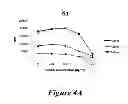 Fig. 08 - Compositions and methods for modulating gamma-c-cytokine activity
