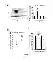 Fig. 02 - Compounds for treating cardiac damage after ischaemia/reperfusion