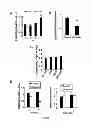 Fig. 05 - Compounds for treating cardiac damage after ischaemia/reperfusion