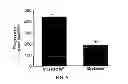 Fig. 06 - Diagnostic assays and methods of treating pneumonia, sepsis and systemic inflammatory response syndrome