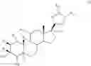 Fig. 13 - NOVEL 17B-HETEROARYL-SUBSTITUTED STEROIDS AS MODULATORS OF GABAA RECEPTORS