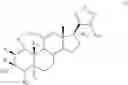 Fig. 15 - NOVEL 17B-HETEROARYL-SUBSTITUTED STEROIDS AS MODULATORS OF GABAA RECEPTORS