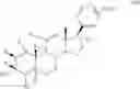 Fig. 17 - NOVEL 17B-HETEROARYL-SUBSTITUTED STEROIDS AS MODULATORS OF GABAA RECEPTORS