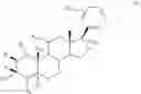Fig. 19 - NOVEL 17B-HETEROARYL-SUBSTITUTED STEROIDS AS MODULATORS OF GABAA RECEPTORS