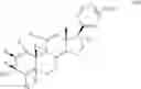 Fig. 61 - NOVEL 17B-HETEROARYL-SUBSTITUTED STEROIDS AS MODULATORS OF GABAA RECEPTORS