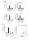 Fig. 03 - COMPOSITIONS AND METHODS FOR PREVENTING AND TREATING ORGAN INJURY AND/OR DYSFUNCTION