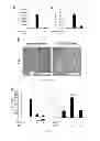 Fig. 05 - COMPOSITIONS AND METHODS FOR PREVENTING AND TREATING ORGAN INJURY AND/OR DYSFUNCTION