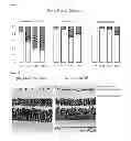 Fig. 03 - Agent for treatment of eye diseases