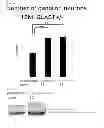 Fig. 11 - Agent for treatment of eye diseases