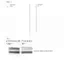 Fig. 12 - Agent for treatment of eye diseases