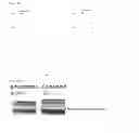 Fig. 14 - Agent for treatment of eye diseases