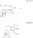 Fig. 02 - ORGANIC COMPOUNDS