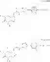 Fig. 33 - PHARMACEUTICAL COMPOSITION COMPRISING A TRPA1 ANTAGONIST AND A STEROID