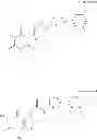 Fig. 45 - PHARMACEUTICAL COMPOSITION COMPRISING A TRPA1 ANTAGONIST AND A STEROID