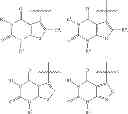 Fig. 63 - PHARMACEUTICAL COMPOSITION COMPRISING A TRPA1 ANTAGONIST AND A STEROID