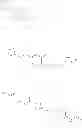 Fig. 221 - Compounds for the Treatment of Neurological Disorders