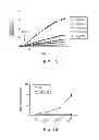 Fig. 04 - COMPOUNDS THAT ENABLE ALTERNATIVE MITOCHONDRIAL ELECTRON TRANSFER