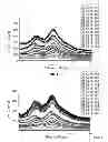 Fig. 02 - Highly loaded amorphous efavirenz composition and process for preparing the same