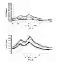 Fig. 04 - Highly loaded amorphous efavirenz composition and process for preparing the same