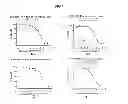 Fig. 05 - Autophagy inhibitors
