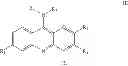 Fig. 11 - Autophagy inhibitors