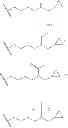 Fig. 22 - Autophagy inhibitors