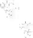 Fig. 12 - Specific carboxamides as KCNQ2/3 modulators
