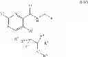 Fig. 19 - Specific carboxamides as KCNQ2/3 modulators