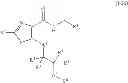Fig. 29 - Specific carboxamides as KCNQ2/3 modulators