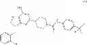 Fig. 06 - GPR17-MODULATING COMPOUNDS, DIAGNOSTIC AND THERAPEUTIC USES THEREOF