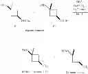 Fig. 216 - Spiro-oxindole MDM2 antagonists