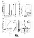 Fig. 09 - NUCLEIC ACID APTAMERS