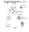 Fig. 02 - Small molecule therapeutic compounds targeting thioesterase deficiency disorders and methods of using the same