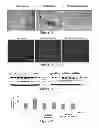 Fig. 09 - Small molecule therapeutic compounds targeting thioesterase deficiency disorders and methods of using the same