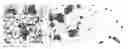 Fig. 01 - Dispersion of particulate clusters via the rapid vaporization of interstitial liquid