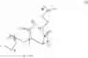 Fig. 19 - Biomimetic Agent For Anti-Biofouling Coating And Method For Making The Same